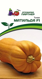 Тыква Матильда F1, 5 шт. Агрофирма Партнер.