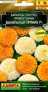 Бархатцы Ванильный пряник F1, смесь сортов, 5 шт. 