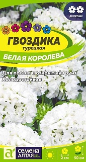 Гвоздика турецкая Белая Королева 0,2 г двулетник