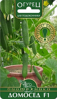 Огурец Домосед F1, 6 шт. Биотехника Биотехника