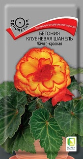 Бегония клубневая Шанель Желто-красная, 5 шт.