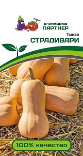 Тыква Страдивари, 10 шт. Агрофирма Партнер.