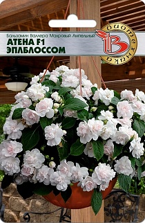 Бальзамин махровый Валлера Атена Эплблоссом F1, ампельный, 8 шт. Биотехника