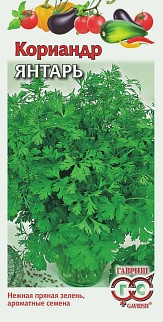 Кориандр Янтарь, 2 г