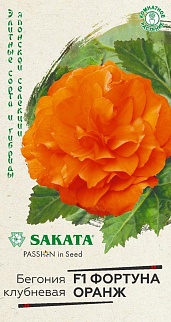 Бегония клубневая Фортуна Оранж F1, 4 шт. Саката.