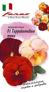 Виола Терракотовые тени, 5 шт. Фарао.