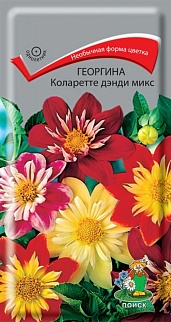 Георгина Коларетте дэнди микс, 0,2 г