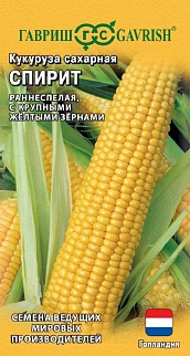 Кукуруза сахарная Спирит, 15 шт. Голландия.