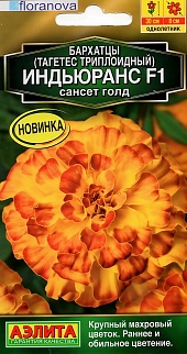 Бархатцы Индьюранс F1 сансет голд, 5 шт.