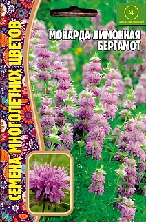 Монарда лимонная Бергамот,100 шт.