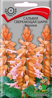 Сальвия сверкающая Шарм Лососевая, 0,2 г