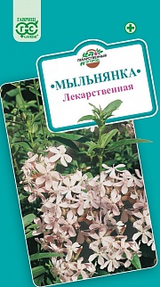 Мыльнянка, 0,5 г. Лекарственная.