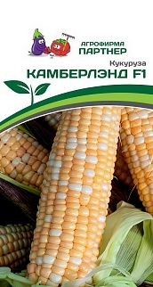 Кукуруза Камберлэнд F1, 3 г. Агрофирма Партнер