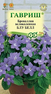 Броваллия великолепная Блу белл, 0.05 г