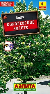 Липа пушистая Королевское золото, 10 шт.