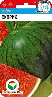 Арбуз Скорик, 5 шт. Сибирский сад.