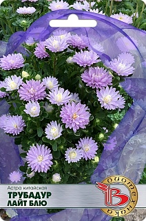 Астра китайская Трубадур Лайт Блю, 20 шт. Биотехника