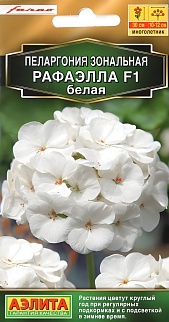 Пеларгония Рафаэлла F1, белая, 5 шт.