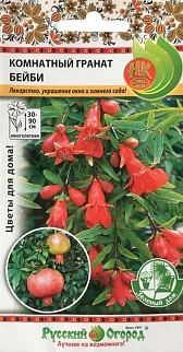 Гранат комнатный Бейби, 5 шт. Русский огород
