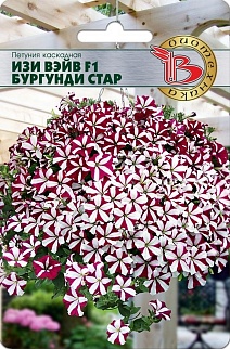 Петуния каскадная Изи Вэйв Бургунди Стар F1, 5 шт. Биотехника