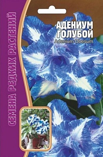 Адениум Голубой, 3 шт. Редкие семена.