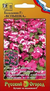 Бальзамин Вспышка ампельный F1, смесь, 5 шт. Русский огород