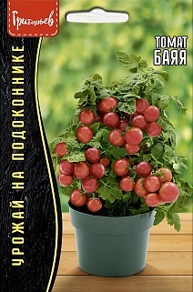 Томат Баяя суперскороспелый, 20 шт.