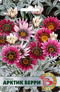 Газания Арктик Берри, 7 шт. Биотехника