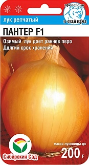 Лук Пантер F1, 1 г. Сибирский сад