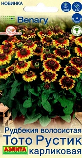 Рудбекия Тото Рустик карликовая, 7 шт.