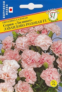 Гвоздика Лилипот Розовая F1, 5 шт. Японская серия