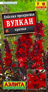 Лобелия Вулкан, красная, 5 шт.