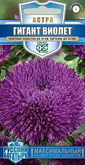 Астра Гигант виолет, игольчато-коготковая, 0,05 г. Русский богатырь.