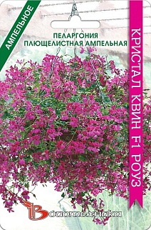 Пеларгония плющелистная ампельная Кристал Квин F1 Роуз, 5 шт. Биотехника