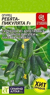 Огурец Ребята-Пикулята F1, 5 шт.