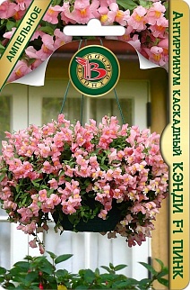 Антирринум каскадный Кэнди F1 Пинк, 15 шт. Ампельное Биотехника