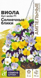 Виола ампельная Кул Вейв Солнечные блики F1, 3 шт. Ампельная шедевры