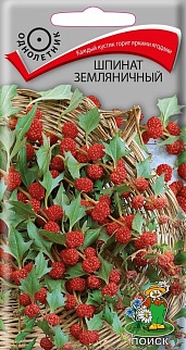 Шпинат земляничный, 0,05 г. Поиск.