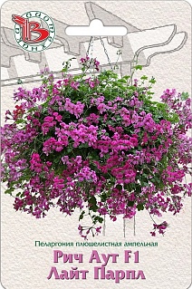 Пеларгония плющелистная ампельная Рич Аут F1 Лайт Парпл, 5 шт. Биотехника
