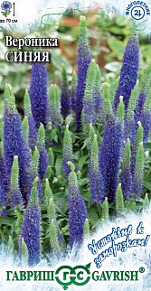 Вероника длиннолистная Синяя, 0,02 г. Устойчив к заморозкам.