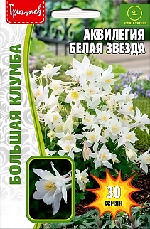 Аквилегия Белая Звезда 30 шт.