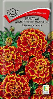 Бархатцы отклоненные махровые Оранжевое пламя, 0,4 г