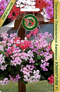 Пеларгония плющелистная ампельная Зоммертайм F1, 5 шт. Биотехника