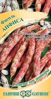 Фасоль Анфиса, 5 г. Авторские семена. 