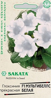 Глоксиния Мультибеллс белая F1, 4 шт. Саката.