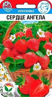 Земляника Сердце Ангела крупноплодная, 10 шт.