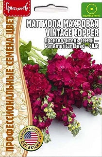 Маттиола махровая Vintage Copper,5 шт.