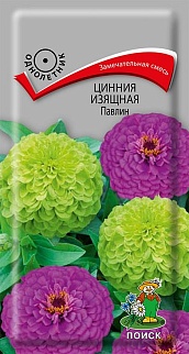 Цинния изящная Павлин, 0,4 г