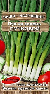 Лук на зелень пучковой, 1 г