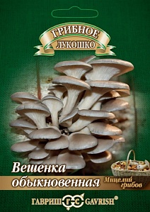 Вешенка Обыкновенная на древесной палочке, 12 шт.